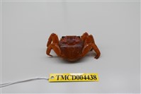 藏品(白紋方蟹)的圖片